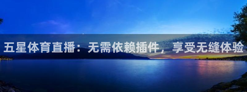 澳门有几个永利：五星体育直播：无需依赖插件，享受无缝体验