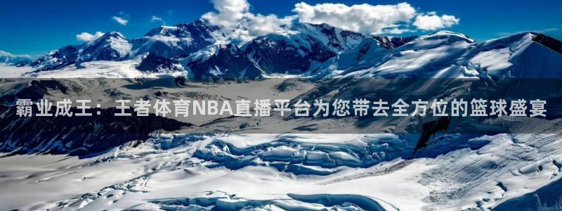 永利集团304官网：霸业成王：王者体育NBA直播平台为您带去全方位的篮球盛宴