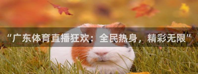 永利官网入口：“广东体育直播狂欢：全民热身，精彩无限”