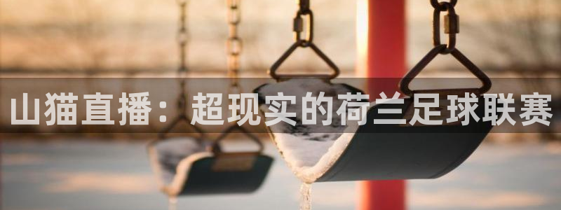 广州永利饭店：山猫直播：超现实的荷兰足球联赛