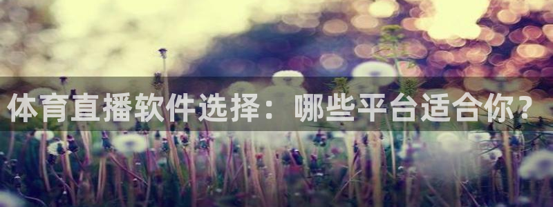 永利桌球俱乐部：体育直播软件选择：哪些平台适合你？