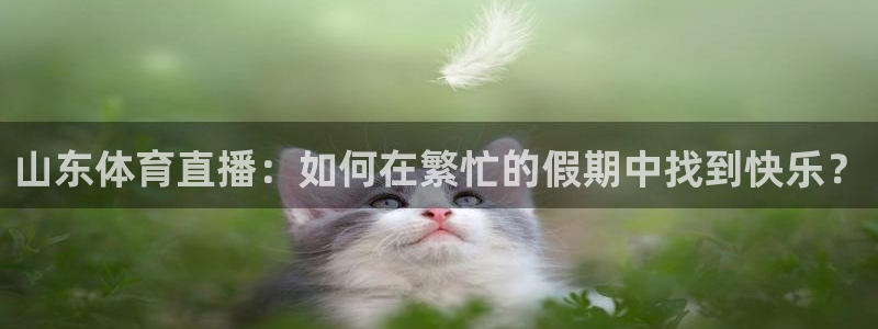 永利集团：山东体育直播：如何在繁忙的假期中找到快乐？