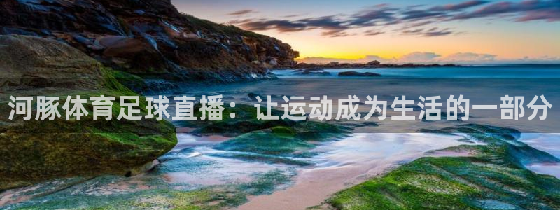 永利八达通：河豚体育足球直播：让运动成为生活的一部分