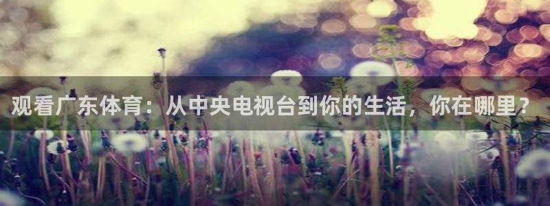 永利桌球俱乐部：观看广东体育：从中央电视台到你的生活，你在哪里？