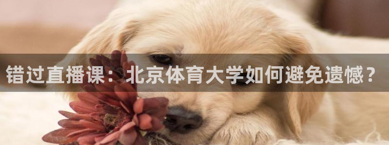 永利股份股吧：错过直播课：北京体育大学如何避免遗憾？