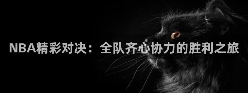 yl23411永利集团官网：NBA精彩对决：全队齐心协力的胜利之旅