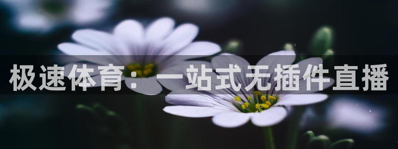 永利集团：极速体育：一站式无插件直播