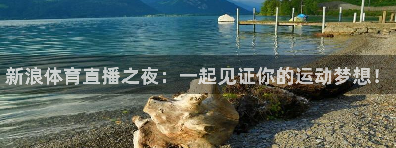 澳门有几个永利：新浪体育直播之夜：一起见证你的运动梦想！