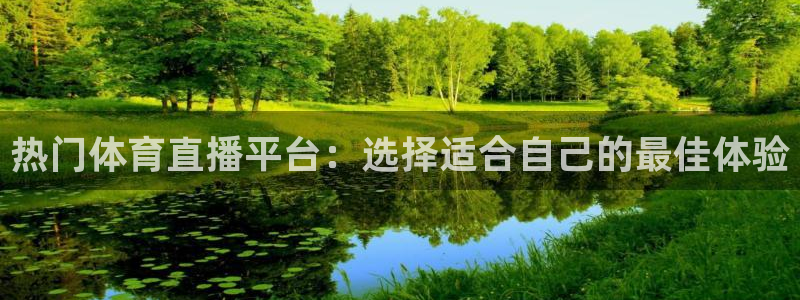 澳门有几个永利：热门体育直播平台：选择适合自己的最佳体验